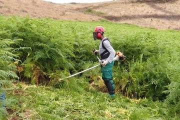 Foresta imparte formación cualificada a cuatro desempleados de Telde (Foto TA)